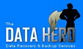 The Data Hero image 2