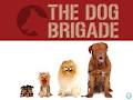 The Dog Brigade logo