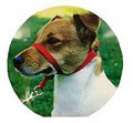 The Dogs Den Training Products image 2