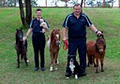 Toowoomba Pet Funerals image 6