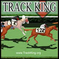Track King logo
