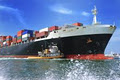 Tradewise Global Logistics logo