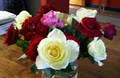 Whitsunday Roses image 1