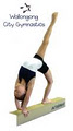 Wollongong City Gymnastics logo