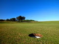 Wollongong Golf Club image 2