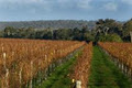 Xanadu Winery image 6