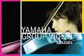 Yamaha Music Education Centre image 4