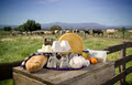 Yarra Valley Dairy image 2