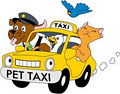 kimberly's pet taxi and services image 1