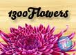 1300 Flowers Florist image 5
