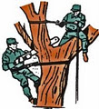 Arbor Master Tree Services logo