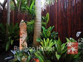 Bamboo Habitat image 3