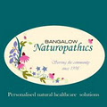 Bangalow Naturopathics logo
