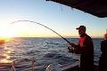 Batemans Bay Fishing image 4