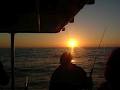 Batemans Bay Fishing image 5