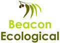 Beacon Ecological image 2