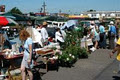 Bentleigh Sunday Market image 2