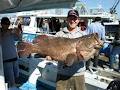 Best Gold Coast Fishing image 6