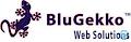 BluGekko Web logo