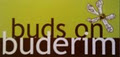 Buds On Buderim logo