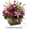 Bunch & Judys Florists & Gifts image 2