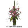 Bunch & Judys Florists & Gifts image 1