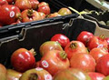 Bushy Park Wholesale Fruit & Vegetables image 3