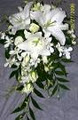 Caloundra Florist image 1