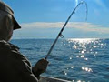 Charter Fishing Australia (Baitonline) image 4