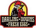 Darling Downs Fresh Eggs logo