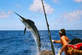 Deep Sea Fishing Charters Gold Coast image 1