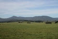 Do The Yarra Valley image 2