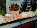 Doyles at Sydney Fish Markets image 2