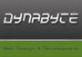 DynaByte Web Designs logo