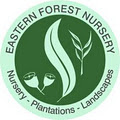 Eastern Forest Nursery image 3