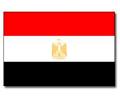 Embassy of the Arab Republic of Egypt logo