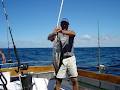 Escape Fishing Charters image 3
