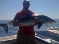 Experienced Dive & Fishing Charters image 2