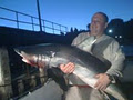 Experienced Dive & Fishing Charters image 3