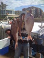 Experienced Dive & Fishing Charters image 5