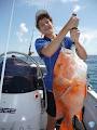 Fishing Charters Townsville image 4