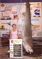 Fishing Sydney-Bravo Fishing Charters image 1