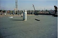 Forest waterproofing image 1