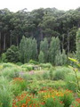 Frogmore Gardens image 2
