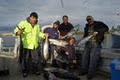 GONE FISHING CHARTERS image 1