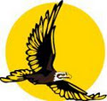Glen Waverley Hawks Junior Football Club image 3