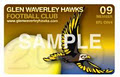 Glen Waverley Hawks Junior Football Club image 4
