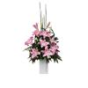 Gold Coast Florist and Gifts image 1