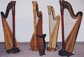 Golden Harps Pty Ltd image 5