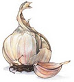 Greendoor Garlic image 2